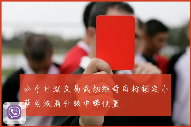 公牛计划交易武切维奇目标锁定小萨或浓眉升级中锋位置