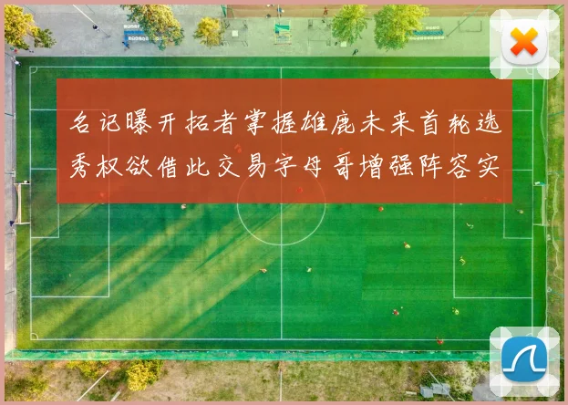 名记曝开拓者掌握雄鹿未来首轮选秀权欲借此交易字母哥增强阵容实力