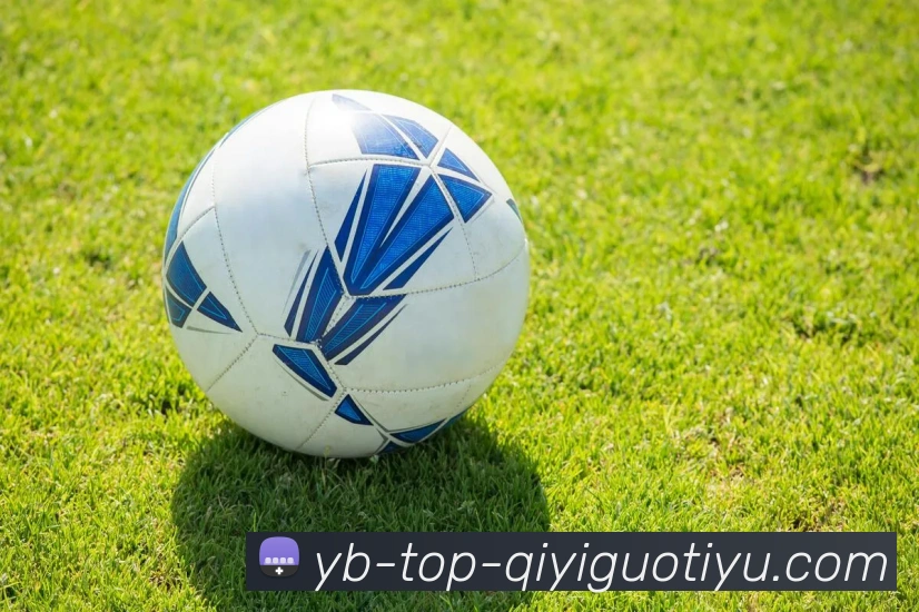 奇异果体育平台生态图