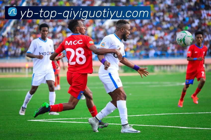 奇异果体育APP 封面图